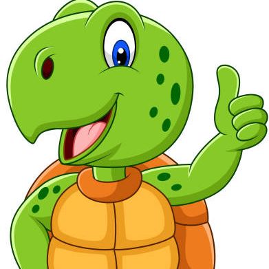 Master Turtle Profile Photo