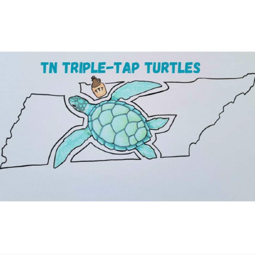 Master Turtle Profile Photo