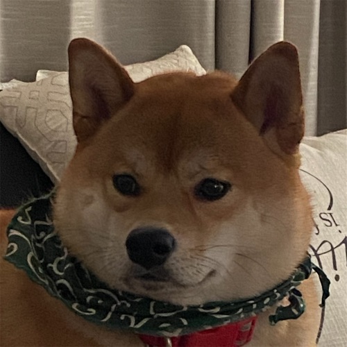Your Profile Photo