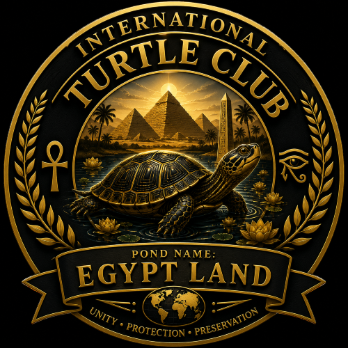 Master Turtle Profile Photo