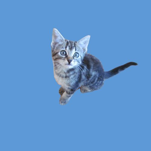 Your Profile Photo