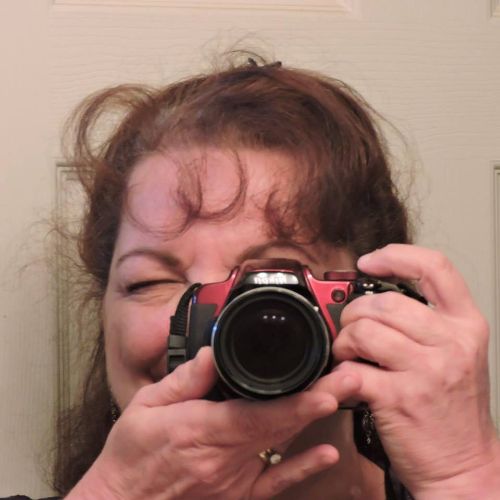 Your Profile Photo