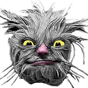 Your Profile Photo