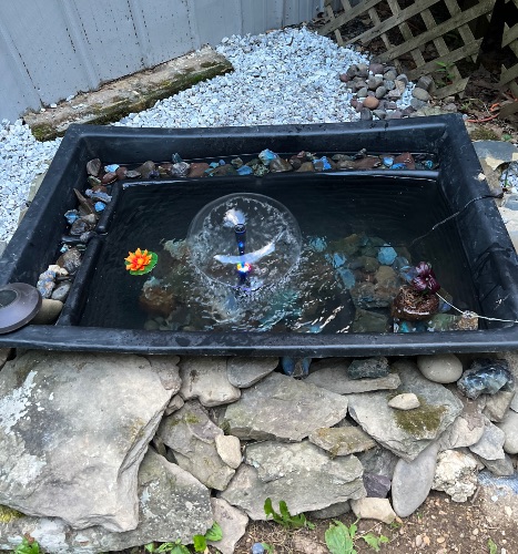 Pond Photos (up to 3)