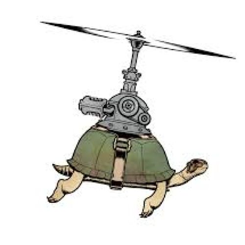 Master Turtle Profile Photo