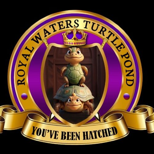 Master Turtle Profile Photo