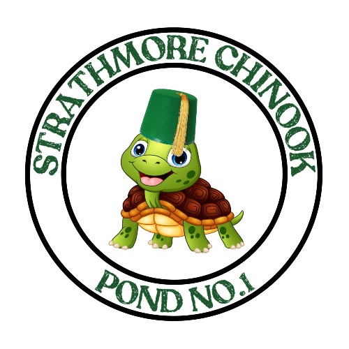 Master Turtle Profile Photo