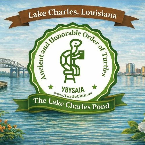 Master Turtle Profile Photo