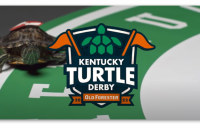 Replay of 2022 Turtle Derby
