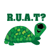 RUAT Turtle