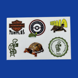 sheet of six turtle stickers