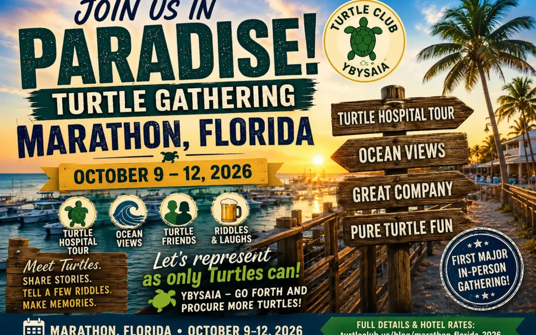Turtles Are Heading to the Florida Keys — Join Us in Marathon!