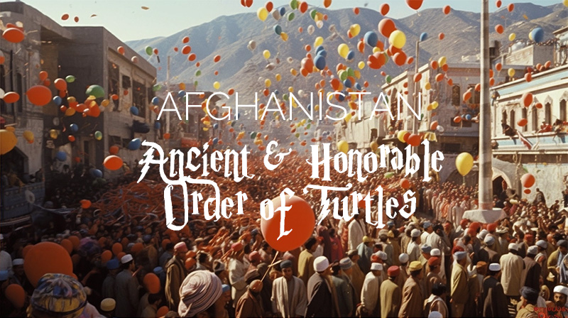 Collaborate with Turtles in Afghanistan