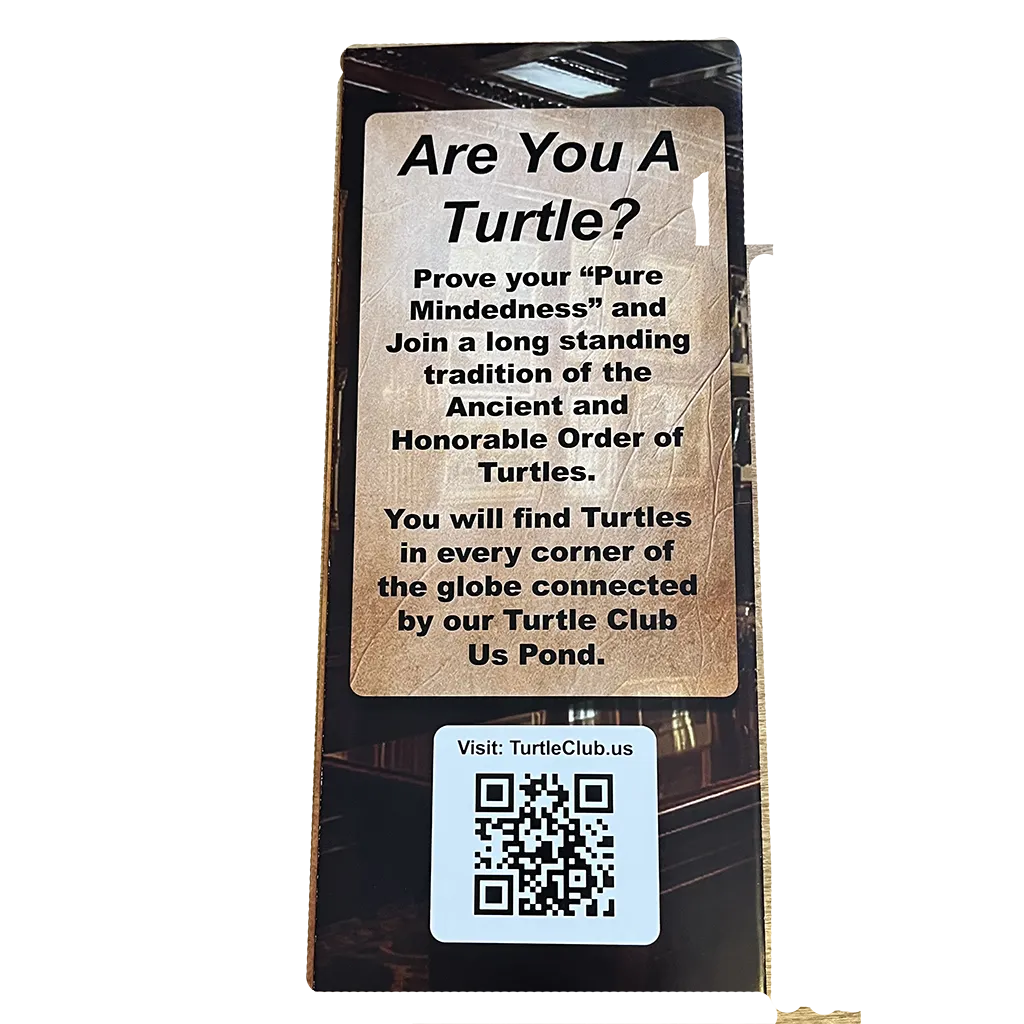 Turtle Brochure - Image 4