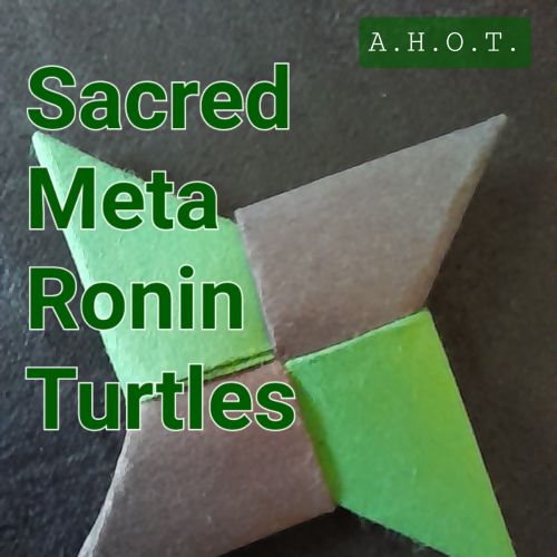Master Turtle Profile Photo
