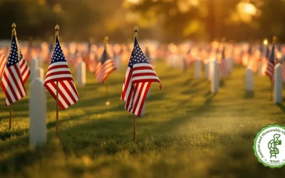 A Turtle’s Salute: Remembering Their Sacrifice This Memorial Day