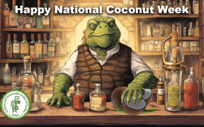 Celebrate National Coconut Week with Our Esteemed Turtle Bartender, Timmy! 🥥🐢