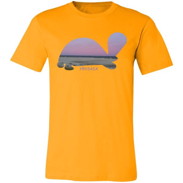 Turtle Sunset - Image 9