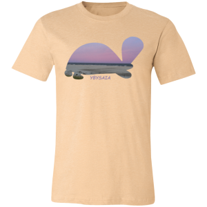 Turtle Sunset