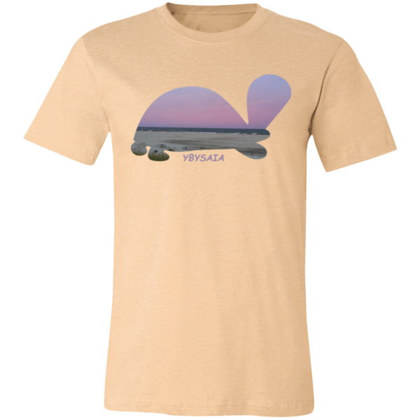 Turtle Sunset
