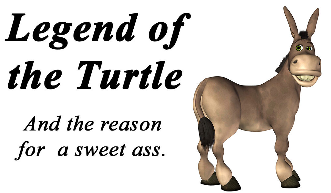 sweet ass legend of the turtle