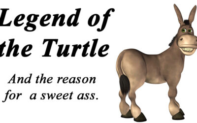 Legend of the Turtle