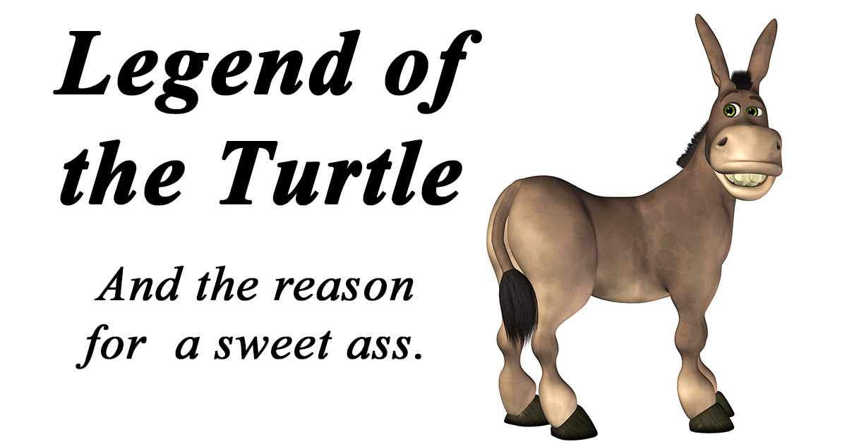 sweet ass legend of the turtle