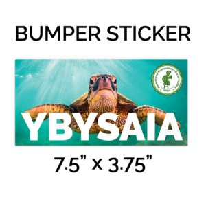 ybysaia bumper sticker sea turtle